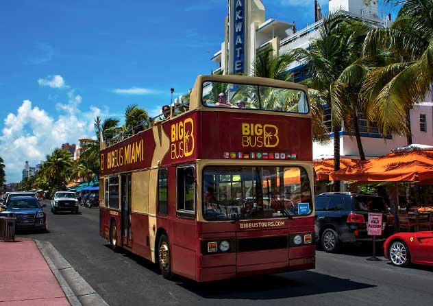 Big Bus City Tour