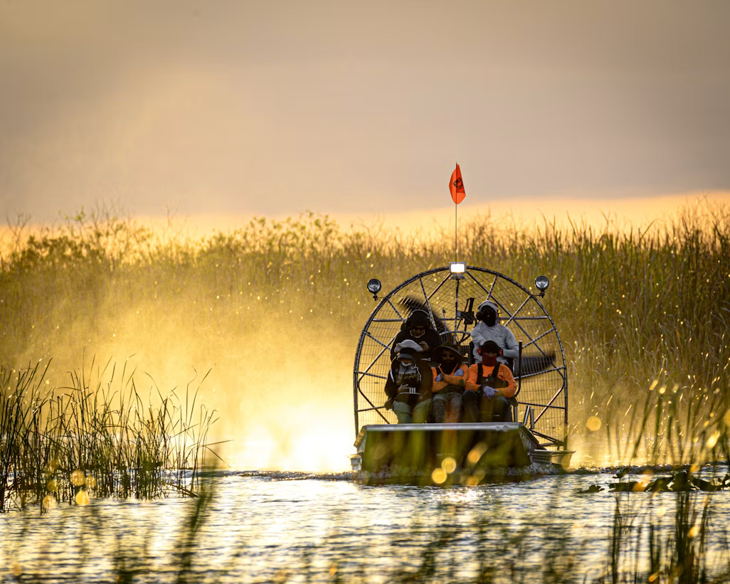 Everglades Tour